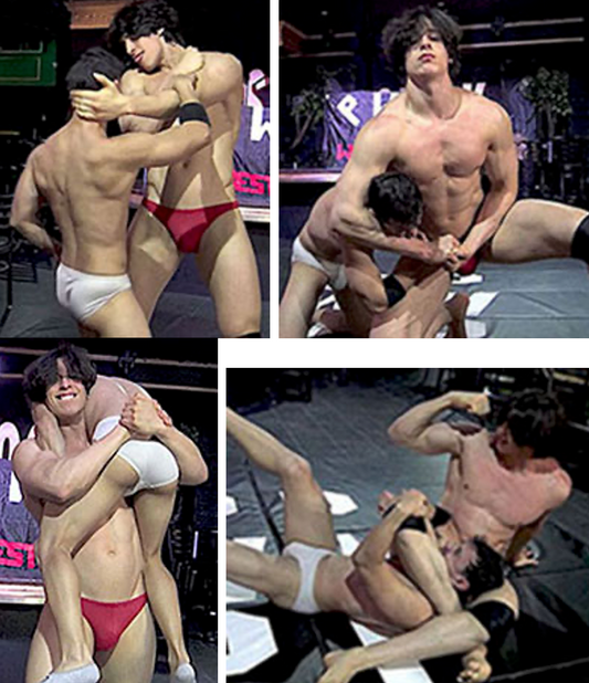 GATTOUZO vs SATI